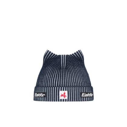 Eisbär Sorra MÜ SA-nacht-fjord