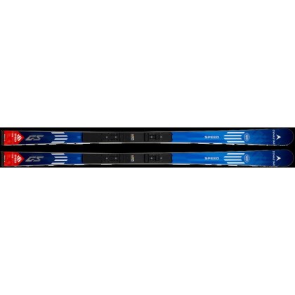 Dynastar Lyže Speed Course WC GS Silver Red